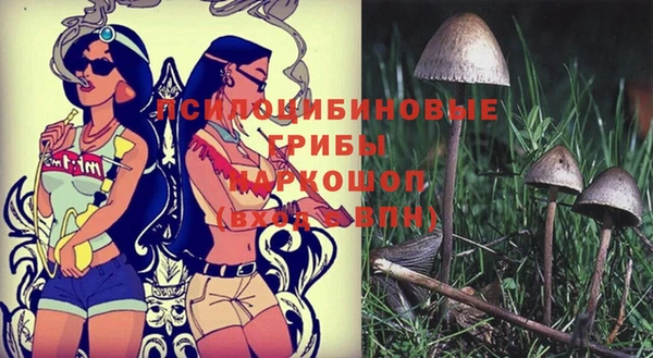 наркотики Абинск